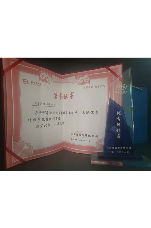 句容市比亚迪2018优秀经销商